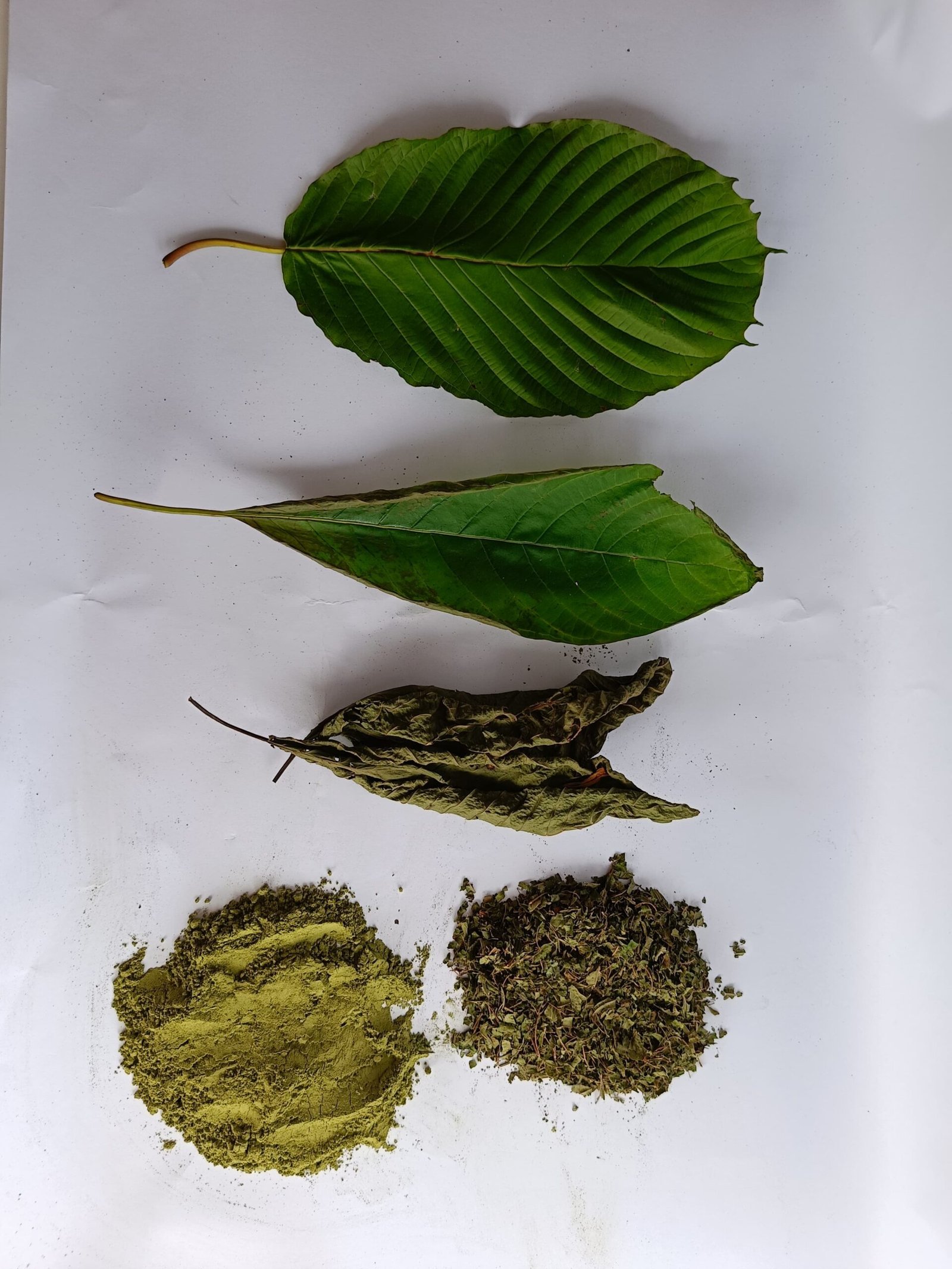 Bali Kratom - Image 7